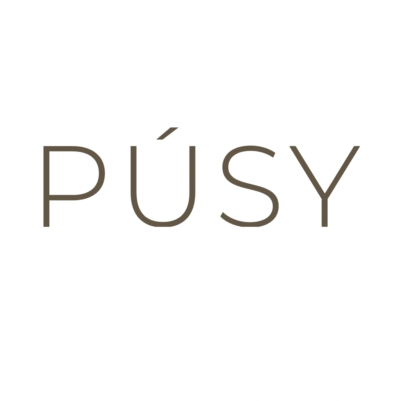 PUSY: бренд косметики, который завоевывает сердца